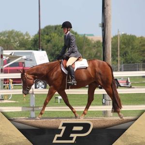 Meet your Posher, Christan